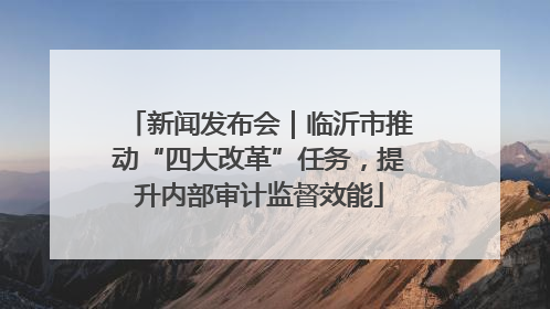 新闻发布会｜临沂市推动“四大改革”任务，提升内部审计监督效能
