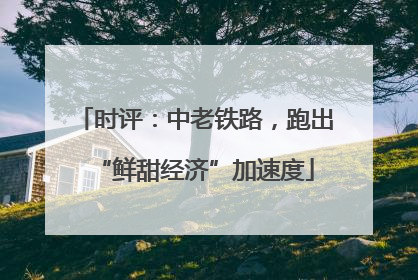 时评：中老铁路，跑出“鲜甜经济”加速度