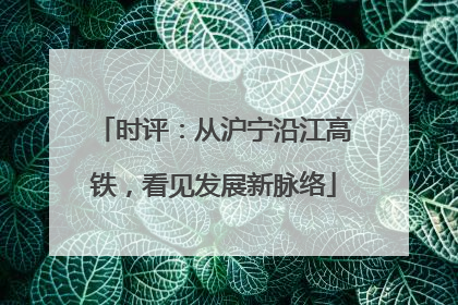 时评：从沪宁沿江高铁，看见发展新脉络