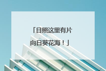 日照这里有片向日葵花海！