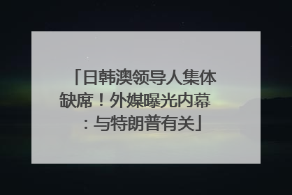 日韩澳领导人集体缺席！外媒曝光内幕：与特朗普有关