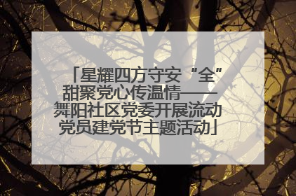 星耀四方守安“全” 甜聚党心传温情——舞阳社区党委开展流动党员建党节主题活动