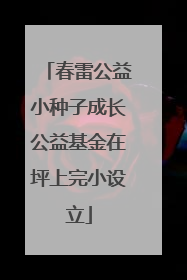 春雷公益小种子成长公益基金在坪上完小设立