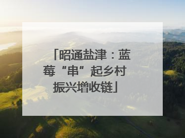 昭通盐津：蓝莓“串”起乡村振兴增收链