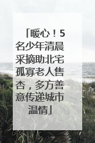 暖心！5名少年清晨采摘助北宅孤寡老人售杏，多方善意传递城市温情