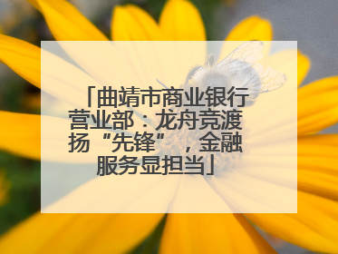 曲靖市商业银行营业部：龙舟竞渡扬“先锋”，金融服务显担当