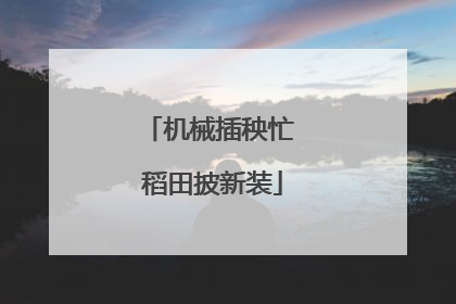 机械插秧忙 稻田披新装