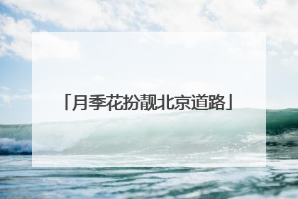 月季花扮靓北京道路