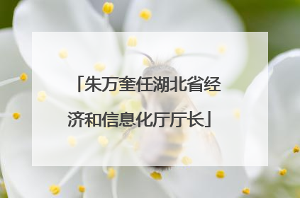 朱万奎任湖北省经济和信息化厅厅长