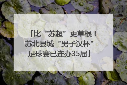 比“苏超”更草根！苏北县城“男子汉杯”足球赛已连办35届