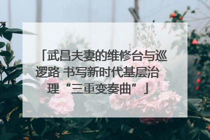 武昌夫妻的维修台与巡逻路 书写新时代基层治理“三重变奏曲”