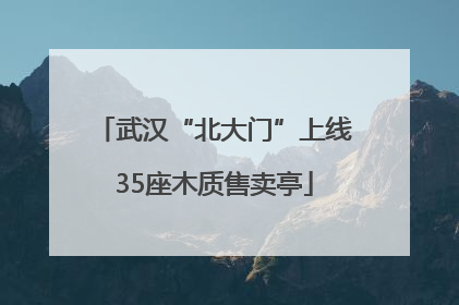 武汉“北大门”上线35座木质售卖亭