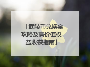 武陵币兑换全攻略及高价值权益收获指南