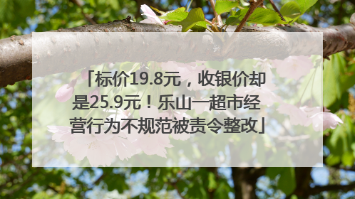 标价19.8元，收银价却是25.9元！乐山一超市经营行为不规范被责令整改