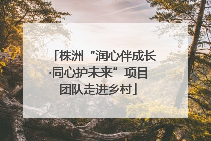 株洲“润心伴成长·同心护未来”项目团队走进乡村