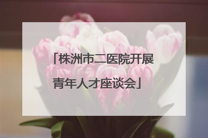 株洲市二医院开展青年人才座谈会