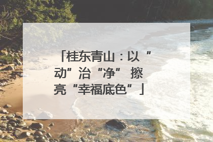 桂东青山：以“动”治“净” 擦亮“幸福底色”