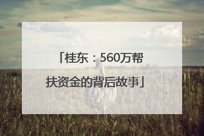 桂东：560万帮扶资金的背后故事