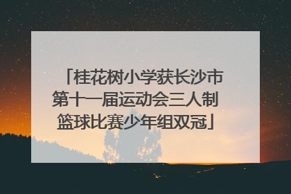 桂花树小学获长沙市第十一届运动会三人制篮球比赛少年组双冠