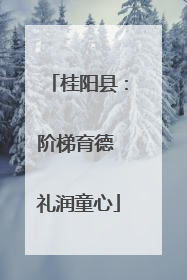 桂阳县：阶梯育德 礼润童心
