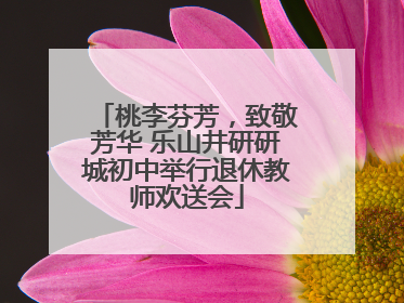 桃李芬芳，致敬芳华 乐山井研研城初中举行退休教师欢送会