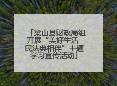 梁山县财政局组开展“美好生活 民法典相伴”主题学习宣传活动