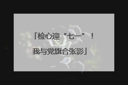 检心迎“七一”！我与党旗合张影