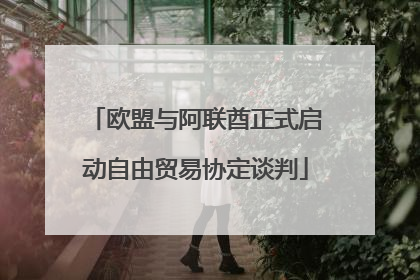 欧盟与阿联酋正式启动自由贸易协定谈判