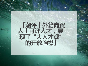 潮评丨外籍商贸人士可评人才，展现了“大人才观”的开放胸襟