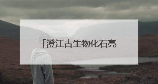 澄江古生物化石亮相国家海洋博物馆