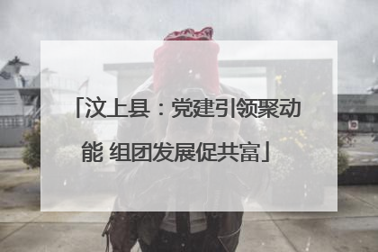汶上县：党建引领聚动能 组团发展促共富