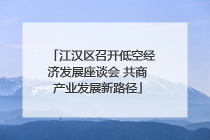 江汉区召开低空经济发展座谈会 共商产业发展新路径
