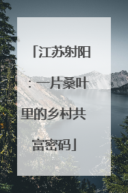 江苏射阳：一片桑叶里的乡村共富密码