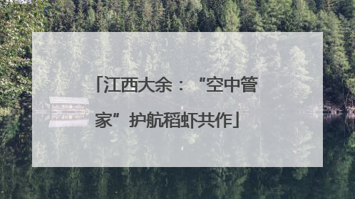 江西大余：“空中管家”护航稻虾共作