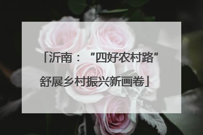 沂南：“四好农村路”舒展乡村振兴新画卷