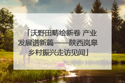 沃野田畴绘新卷 产业发展谱新篇——陕西岚皋乡村振兴走访见闻