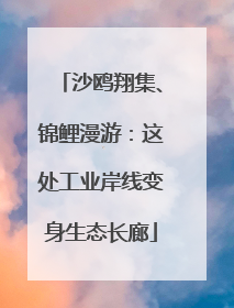 沙鸥翔集、锦鲤漫游：这处工业岸线变身生态长廊