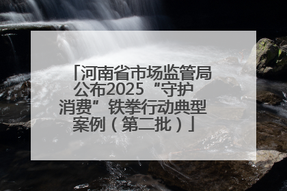 河南省市场监管局公布2025“守护消费”铁拳行动典型案例（第二批）