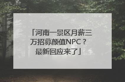 河南一景区月薪三万招募颜值NPC？最新回应来了