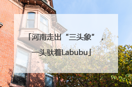 河南走出“三头象”，一头驮着Labubu