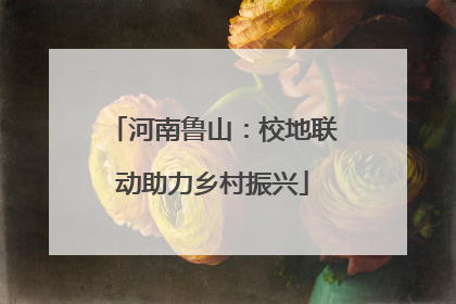 河南鲁山：校地联动助力乡村振兴
