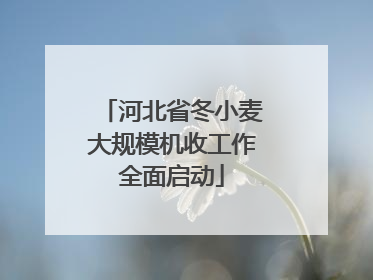 河北省冬小麦大规模机收工作全面启动