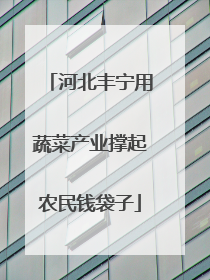 河北丰宁用蔬菜产业撑起农民钱袋子