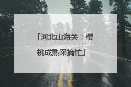 河北山海关：樱桃成熟采摘忙