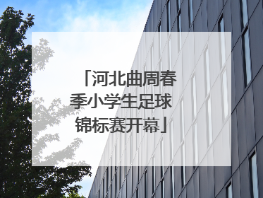 河北曲周春季小学生足球锦标赛开幕