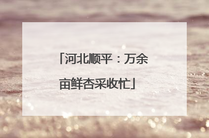 河北顺平：万余亩鲜杏采收忙