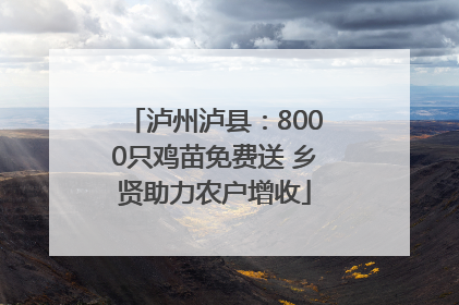 泸州泸县：8000只鸡苗免费送 乡贤助力农户增收