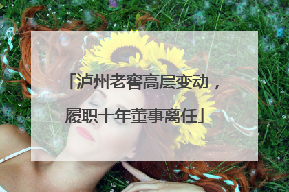 泸州老窖高层变动，履职十年董事离任