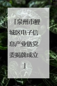 泉州市鲤城区电子信息产业链党委揭牌成立