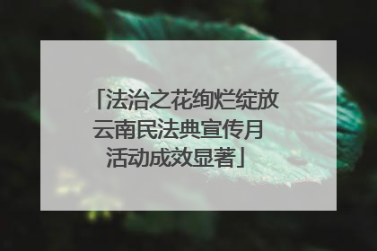 法治之花绚烂绽放 云南民法典宣传月活动成效显著